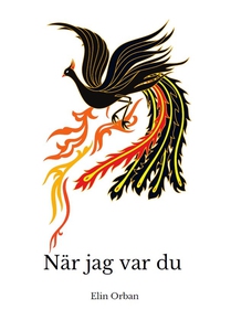 När jag var du (e-bok) av Elin Orban