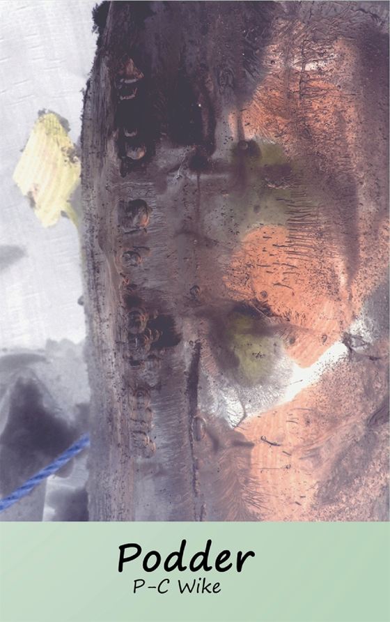 Podder: Spår av sändning i köttrymden