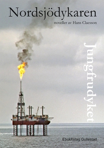 Jungfrudyket (ljudbok) av Hans Claesson