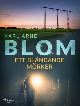 Ett bländande mörker (e-bok) av Karl Arne Blom