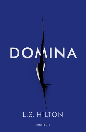 Domina (e-bok) av L. S. Hilton