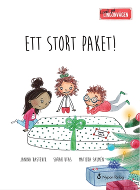 Livat på Lingonvägen: Ett stort paket! (e-bok) 