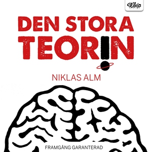 Den stora teorin (ljudbok) av Niklas Alm