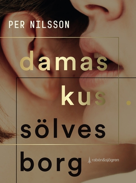 Damaskus Sölvesborg (e-bok) av Per Nilsson