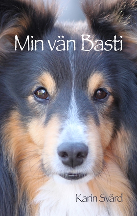 Min vän Basti (ljudbok) av Karin Svärd