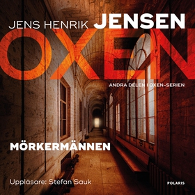 Mörkermännen (ljudbok) av Jens Henrik Jensen