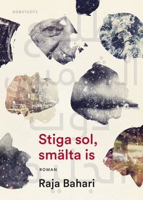 Stiga sol, smälta is (e-bok) av Raja Bahari