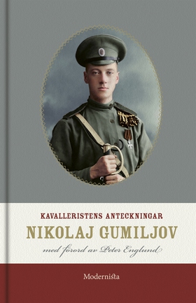 Kavalleristens anteckningar (e-bok) av Nikolaj 