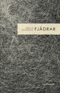 Fjädrar (e-bok) av Ursula Scavenius