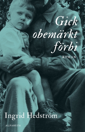 Gick obemärkt förbi (e-bok) av Ingrid Hedström