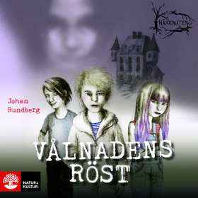 Vålnadens röst (ljudbok) av Johan Rundberg