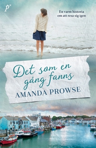 Det som en gång fanns (e-bok) av Amanda Prowse