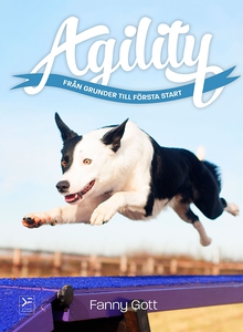 Agility - från grunder till första start (e-bok