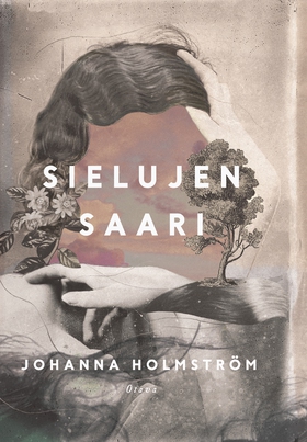Sielujen saari (e-bok) av Johanna Holmström
