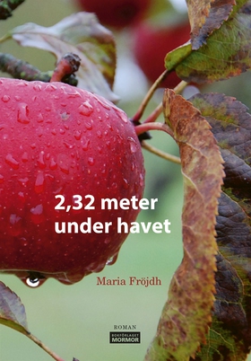 2,32 meter under havet (e-bok) av Maria Fröjdh