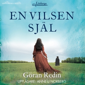 En vilsen själ (ljudbok) av Göran Redin