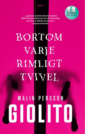 Bortom varje rimligt tvivel (e-bok) av Malin Pe