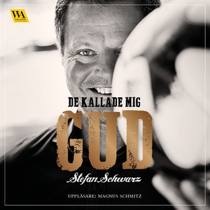 De kallade mig Gud (ljudbok) av Stefan Schwarz