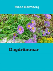 Dagdrömmar (e-bok) av Mona Holmberg