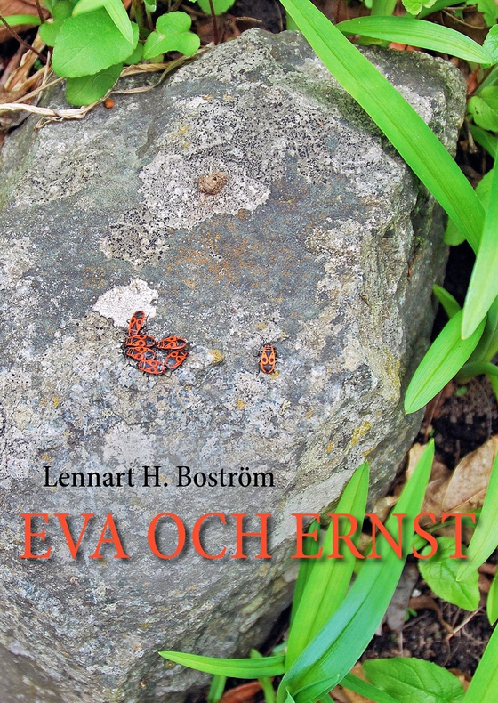 Eva och Ernst (e-bok) av Lennart H. Boström