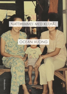 Natthimmel med kulhål (e-bok) av Ocean Vuong