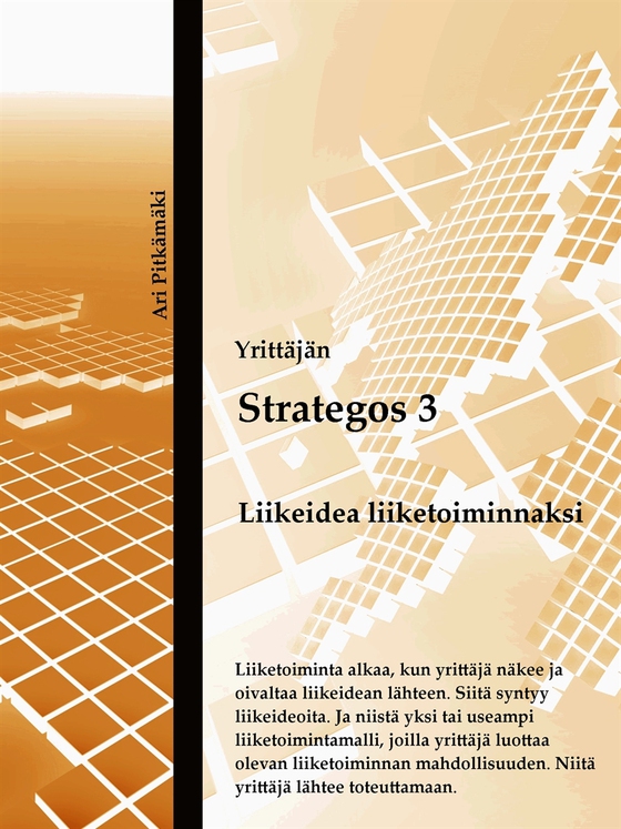 Strategos 3: Liikeidea liiketoiminnaksi