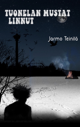 Tuonelan mustat linnut (e-bok) av Jarmo Teinilä