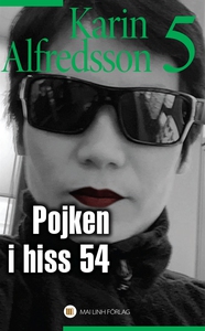 Pojken i hiss nummer 54 (e-bok) av Karin Alfred