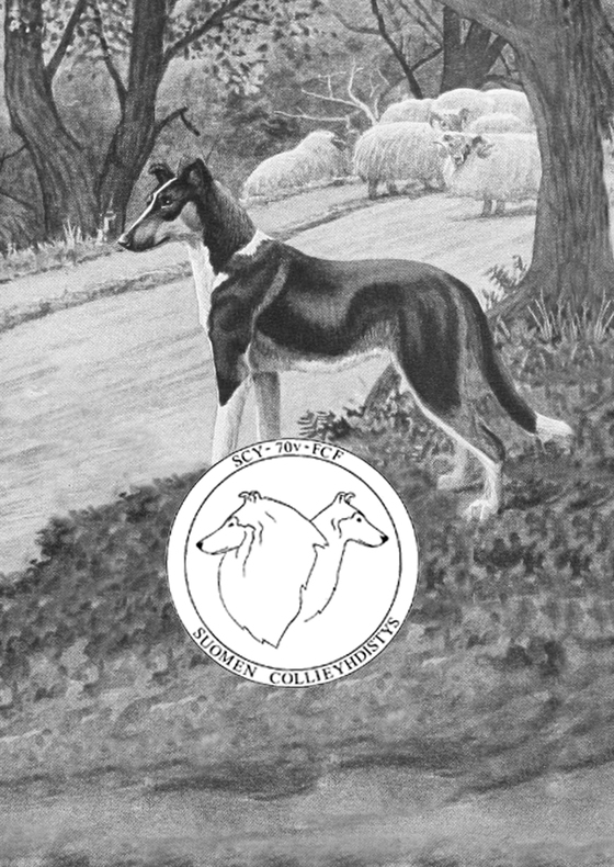 70-vuotisjuhlajulkaisu: Suomen Collieyhdistys ry - Finlands Collieförening rf