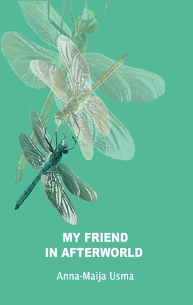 My friend in Afterworld: Experiences in the oth