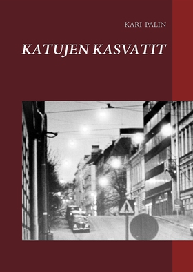 Katujen kasvatit (e-bok) av Kari Palin