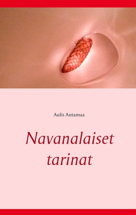 Navanalaiset tarinat (e-bok) av Aulis Antamaa