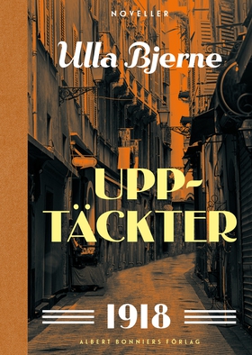 Upptäckter : noveller (e-bok) av Ulla Bjerne