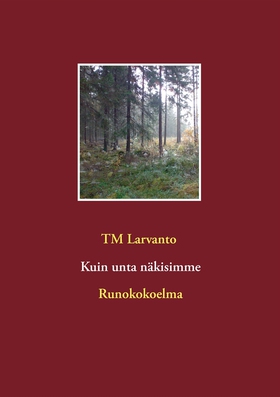 Kuin unta näkisimme: Hymyä läpi kyynelten (e-bo
