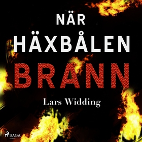 När häxbålen brann (ljudbok) av Lars Widding