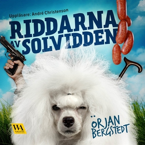 Riddarna av Solvidden (ljudbok) av Örjan Bergst