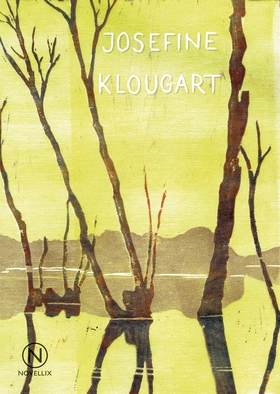 Regn (e-bok) av Josefine Klougart