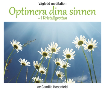 Vägledd meditation: Optimera dina sinnen (ljudb