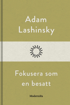 Fokusera som en besatt (e-bok) av Adam Lashinsk