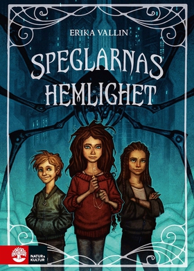 Speglarnas hemlighet (e-bok) av Erika Vallin