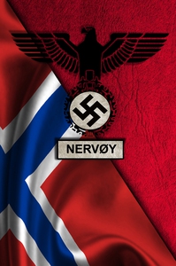 Nervøy (e-bok) av Håkan Tingsén