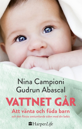 Vattnet går (e-bok) av Gudrun Abascal, Nina Cam