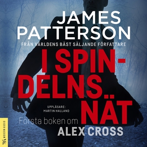 I spindelns nät (ljudbok) av James Patterson