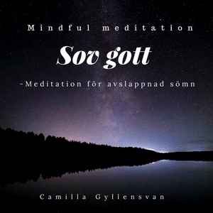 Sov gott- djup och rofull sömn (ljudbok) av Cam