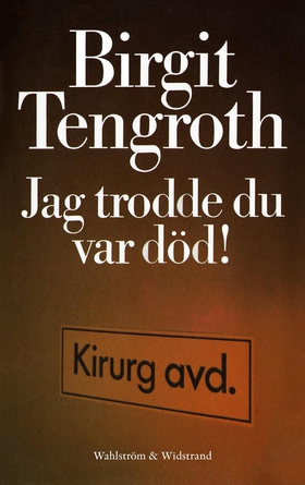 Jag trodde du var död! (e-bok) av Birgit Tengro