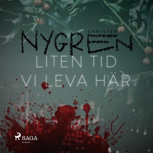Liten tid vi leva här (ljudbok) av Christer Nyg