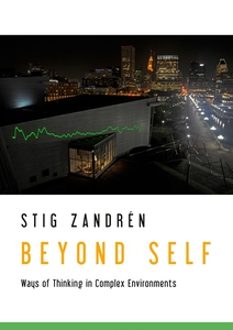 Beyond Self: Ways of Thinking in Complex Enviro
