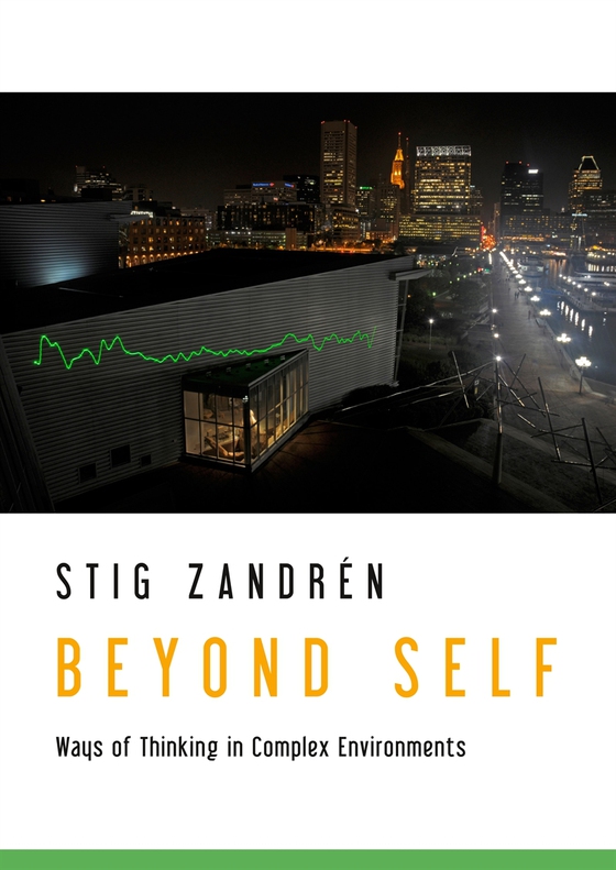 Beyond Self: Ways of Thinking in Complex Environments