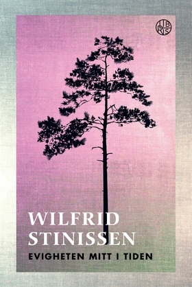 Evigheten mitt i tiden (e-bok) av Wilfrid Stini