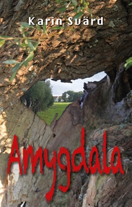 Amygdala (e-bok) av Karin Svärd